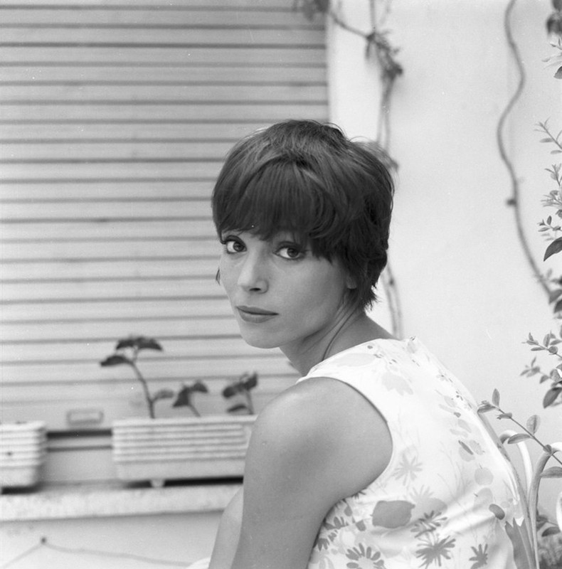 elsa_martinelli_d73