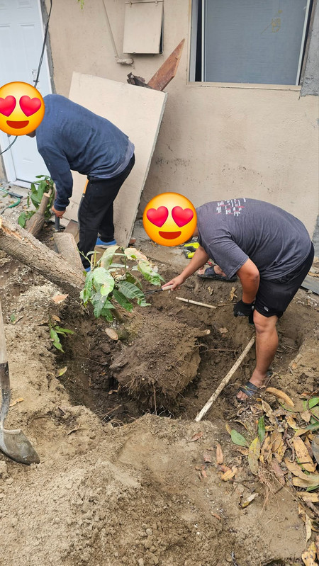 FB IMG 1757292414433