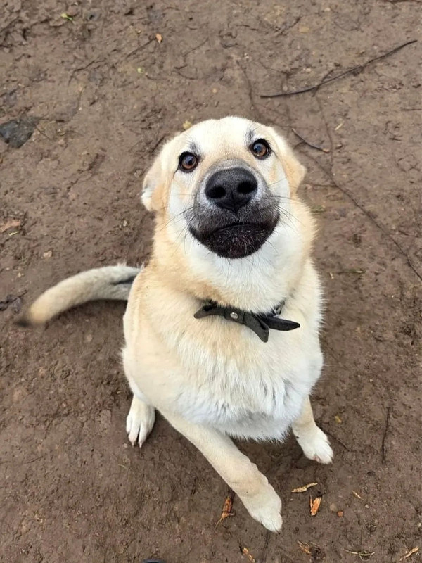 SJ4Kf RRVikk QMw Hb Eyza EF02y LOf PKn QOy O32wnh Kzeqb MZYI3f Rq Os P64uzx8AP6F6v5Nrq1ut2e Hl0Iv D5