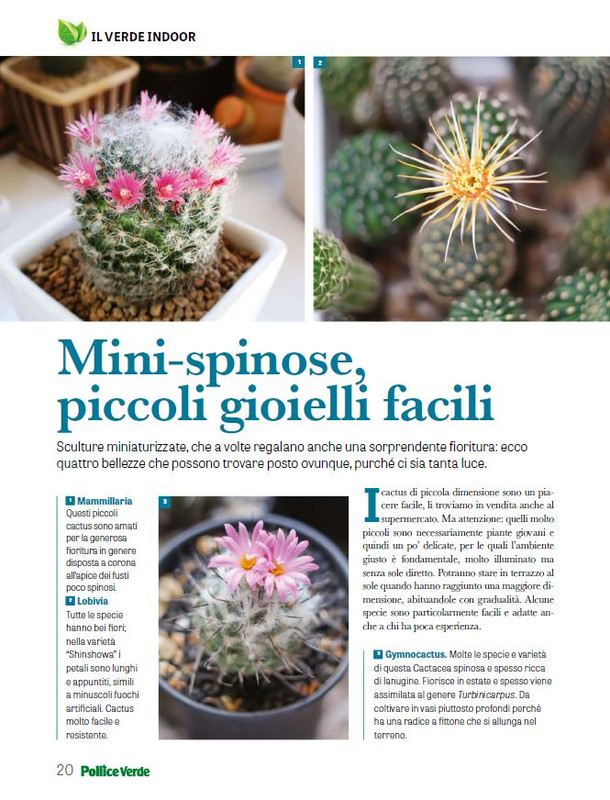 Pol Ver Lug 2025 (3)