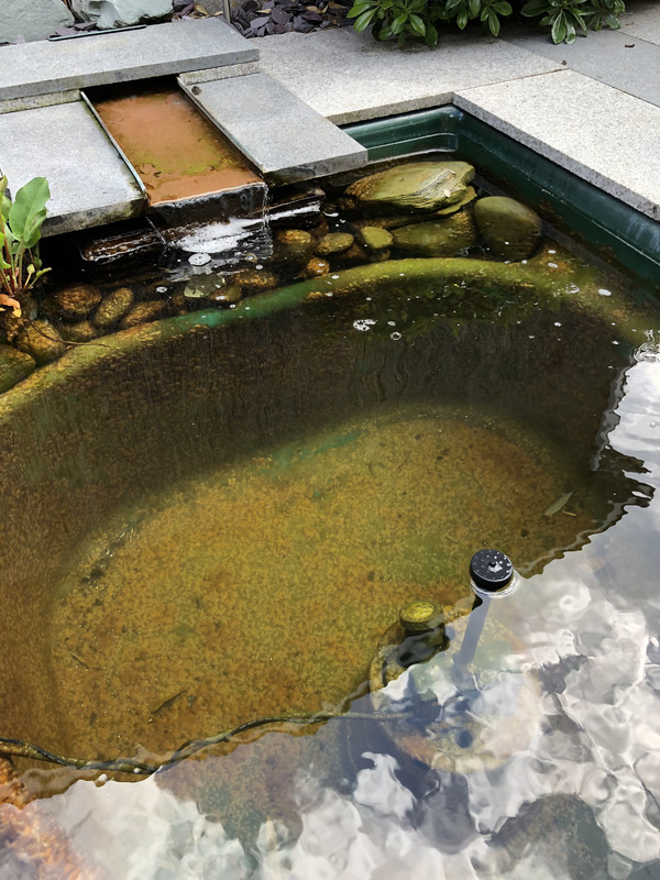Advice needed-sludgy bubble appearance on lining/rocks/pipes - Your Pond  Forum - Pond Life