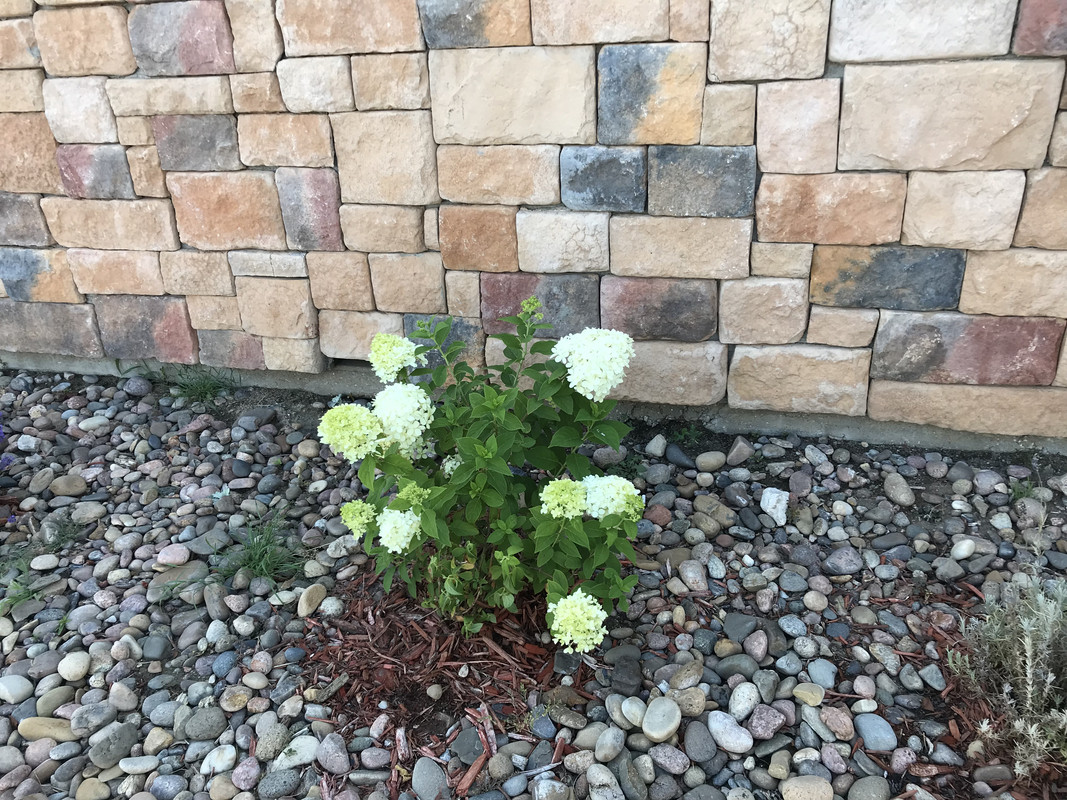 37CE93E4-CC23-45FB-8B00-A407BD9D76DF