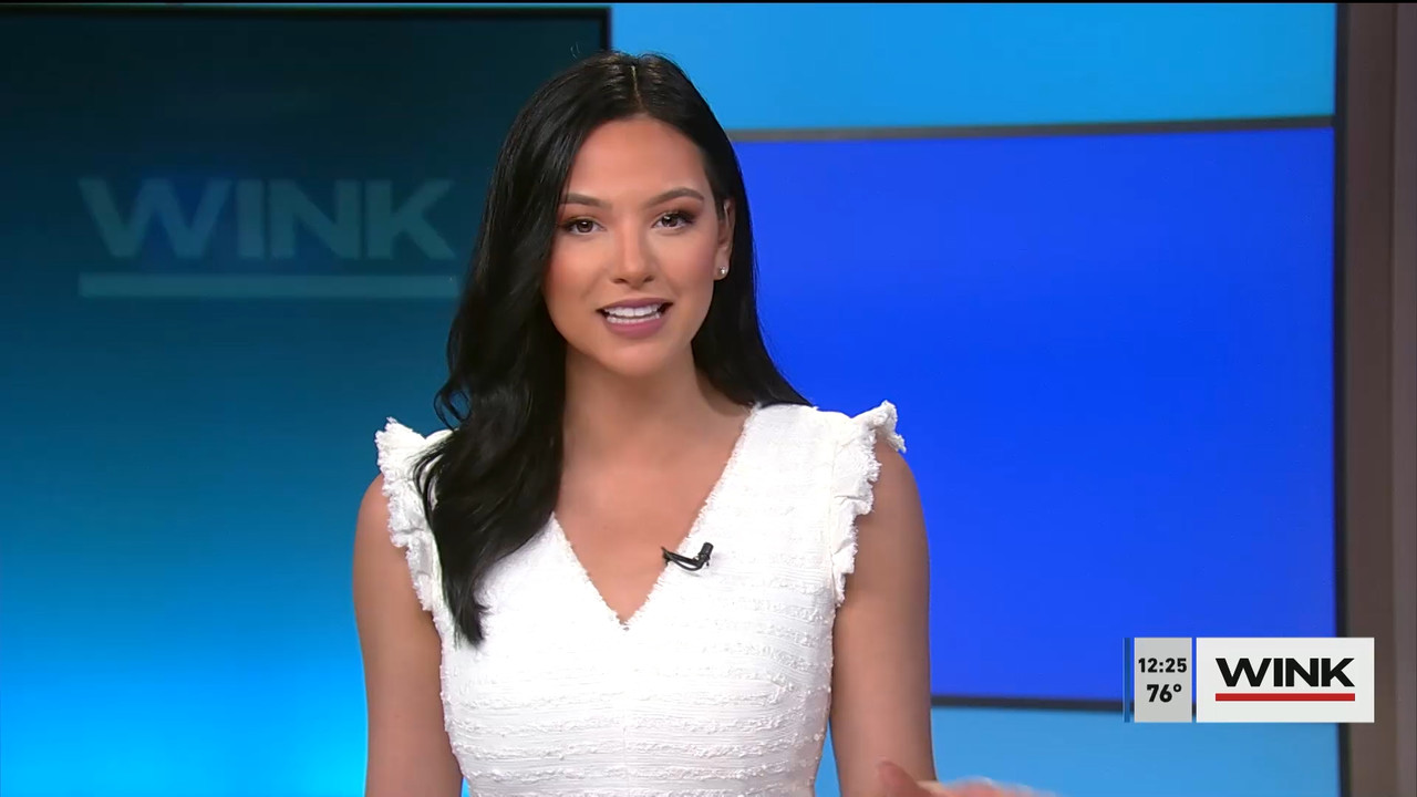 The WINK Noon News 2022_04_08_17_00_00.ts_snapshot_31.35.677