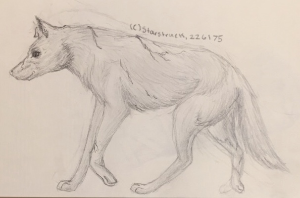 46AC3A2C-2F06-4293-B113-D123D1C5E941