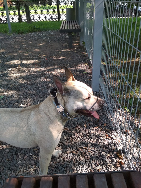 CE15B5CE-27F8-4D12-8F88-03E84B644142