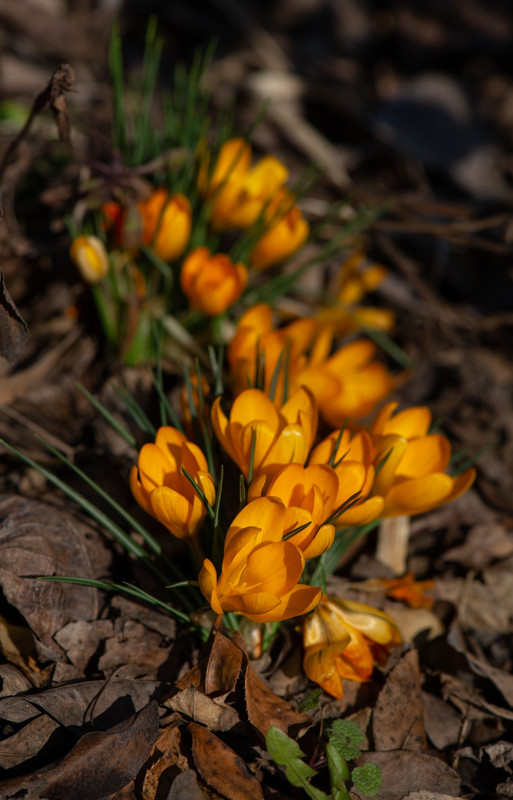 IMG-45400c44dff0348edff6b70ff87b3696-V