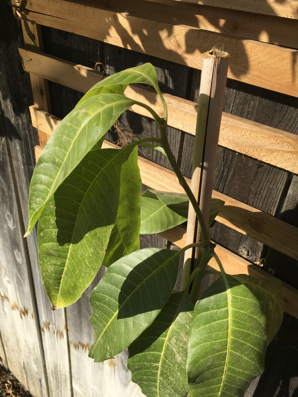 CA9D3D26-CCBC-47CA-AFC8-4C3F5F63C23C