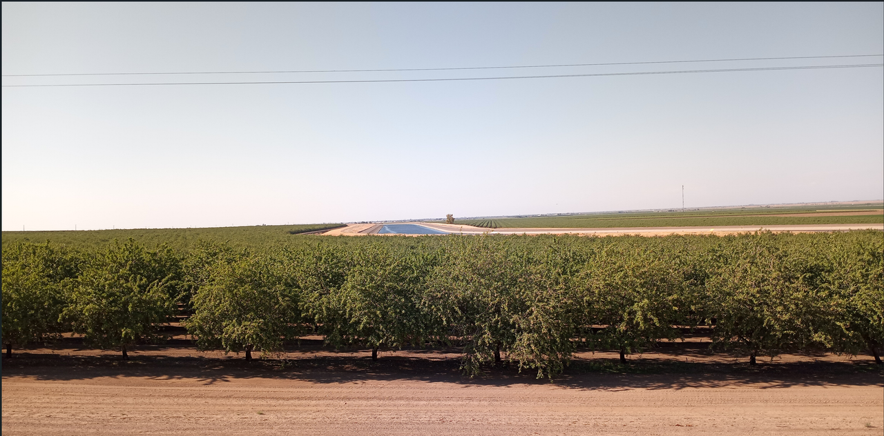 [Image: 6-Almond-Orchard-Along-I5-San-Joaquin-Valley.png ]