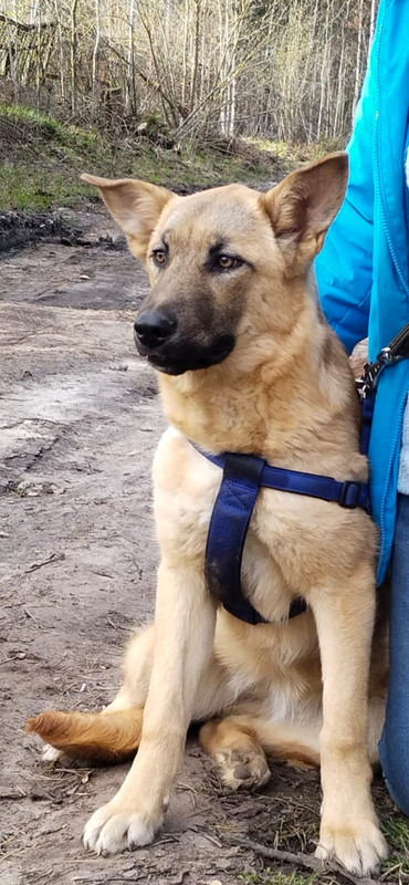 BkDEIBRoKtukwYLqAqOPKuBPcGEUmCaMpiIM0ikWhzto4-9nAiu8mh5YBSgsZRaa3kgx65PFmTuT-3uctFtH_09o