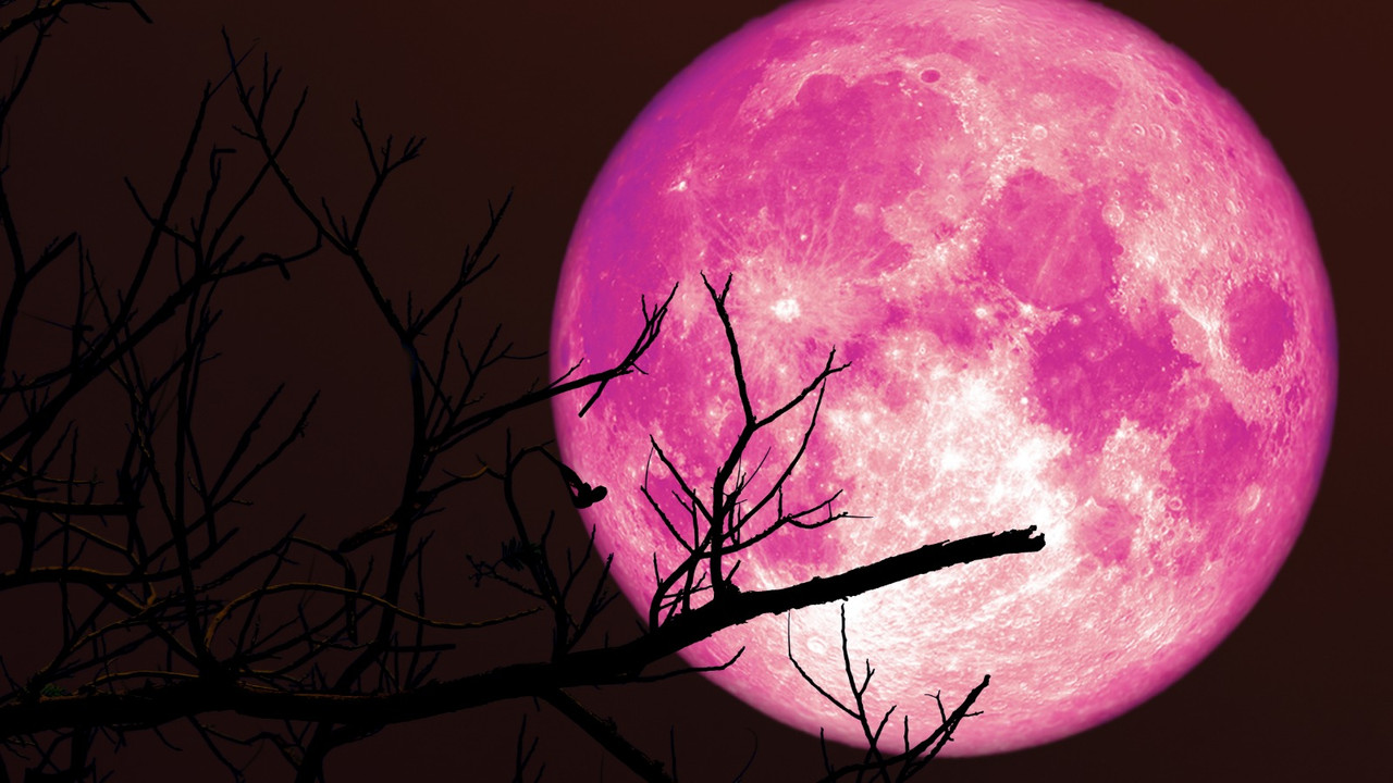 Strawberry Moon Full Moon