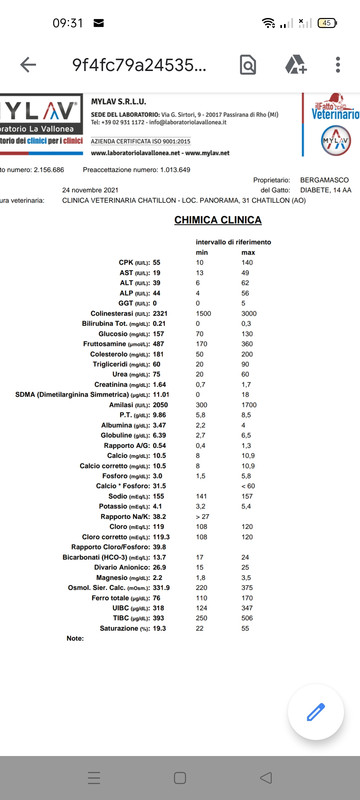 анализы Нюша