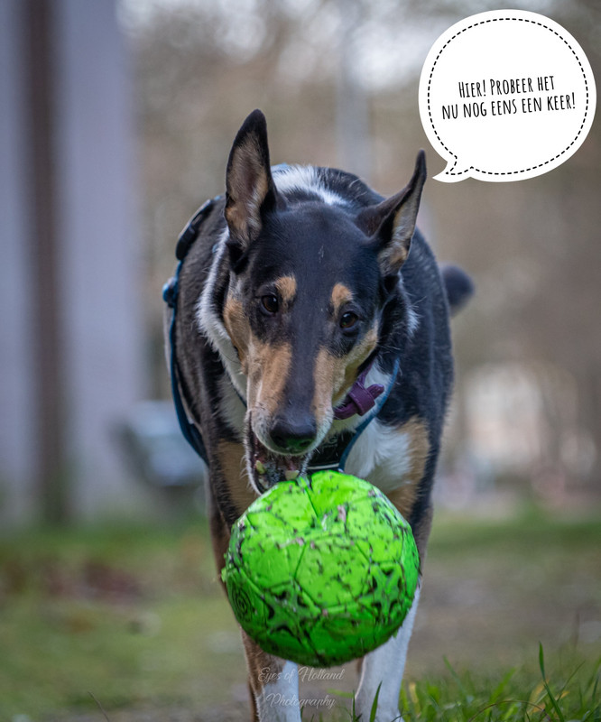 71711212-12FD-4044-AAF1-FEC4FF4428D0