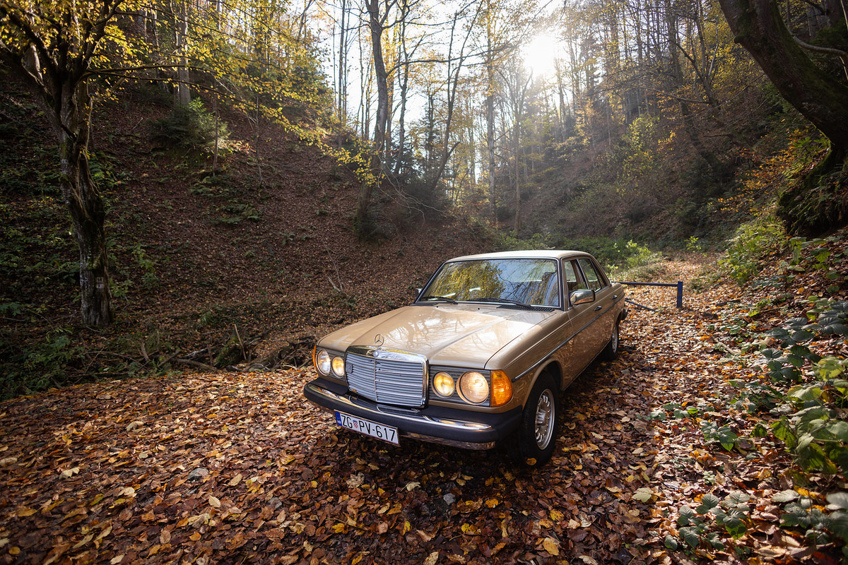 241102-Mercedes_W123_300D_124
