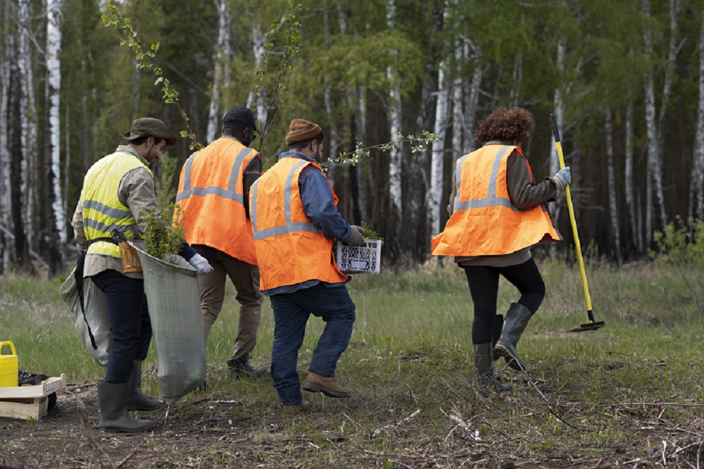 Wetland Investigation