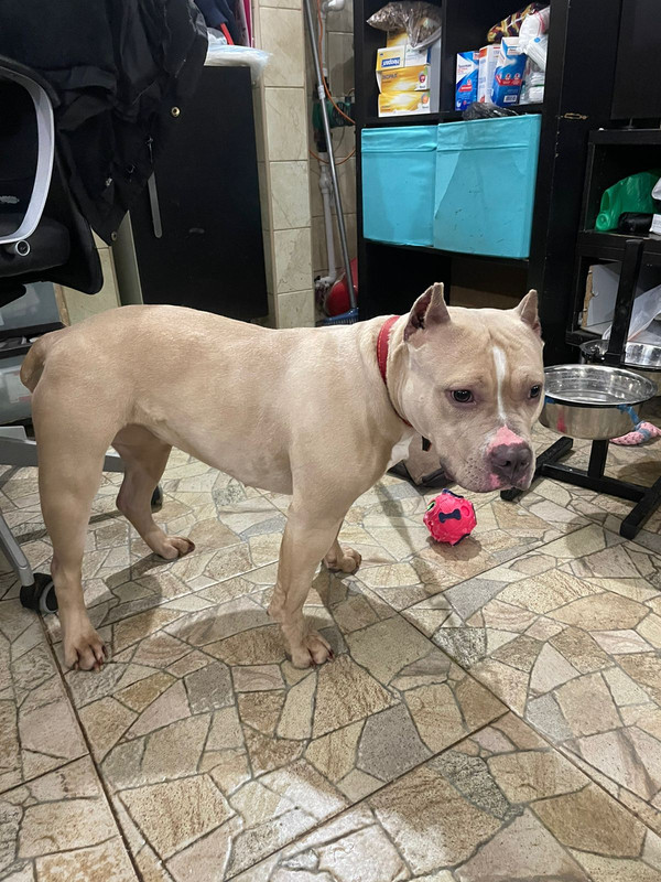 WhatsApp Image 2024-02-04 at 19.59.42 (1)