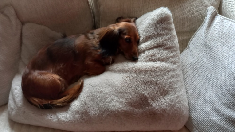 [Image: 20250207-132751.jpg]