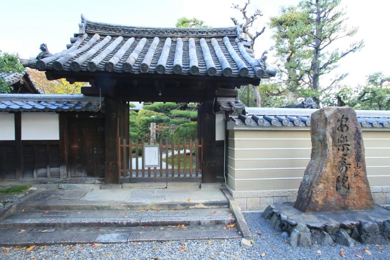 1137-a2-a1-caption-2