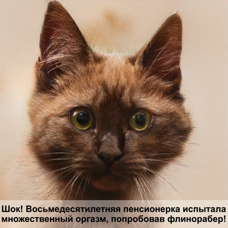 самая древняя порода кошек