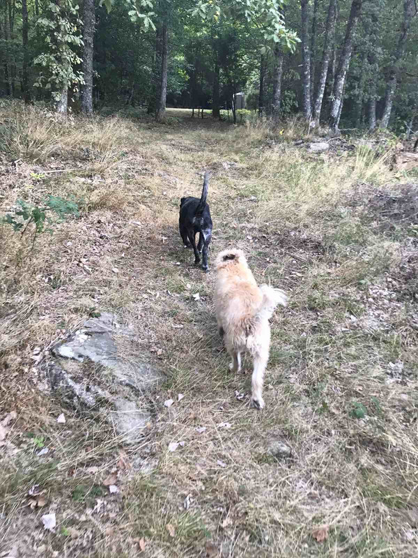 A817822E-5896-4426-B2F1-5F52E426A0D8