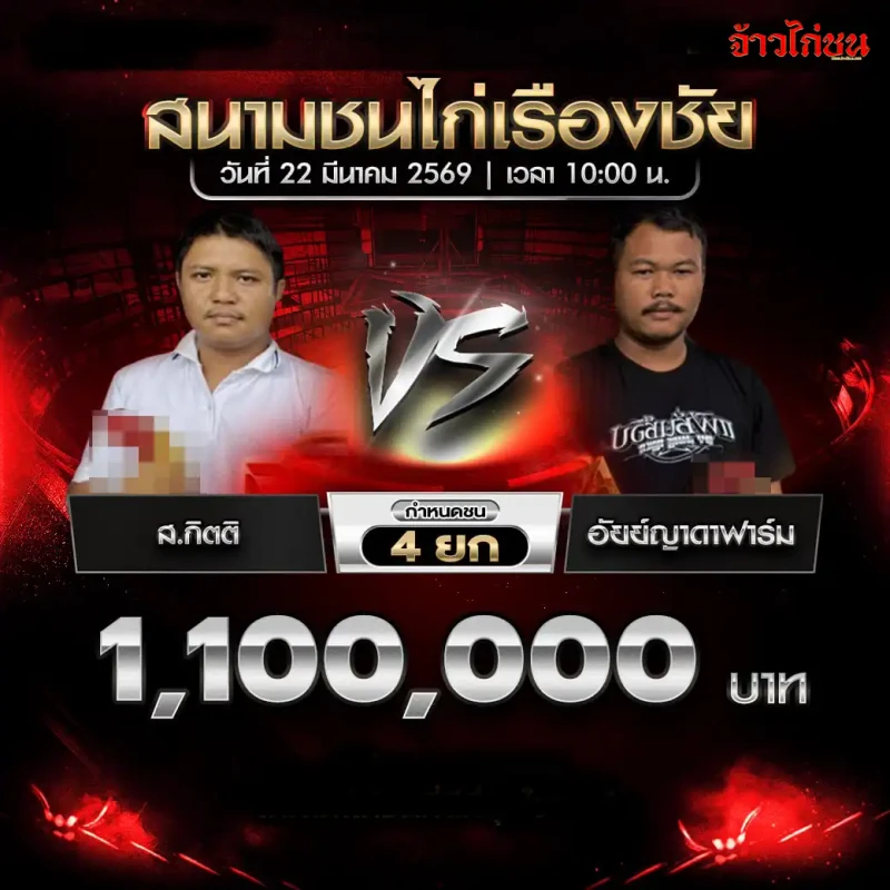 ส.กิตติ vs อัยย์ญาดาฟาร์ม โปรแกรมไก่ชน สนามชนไก่เรืองชัย