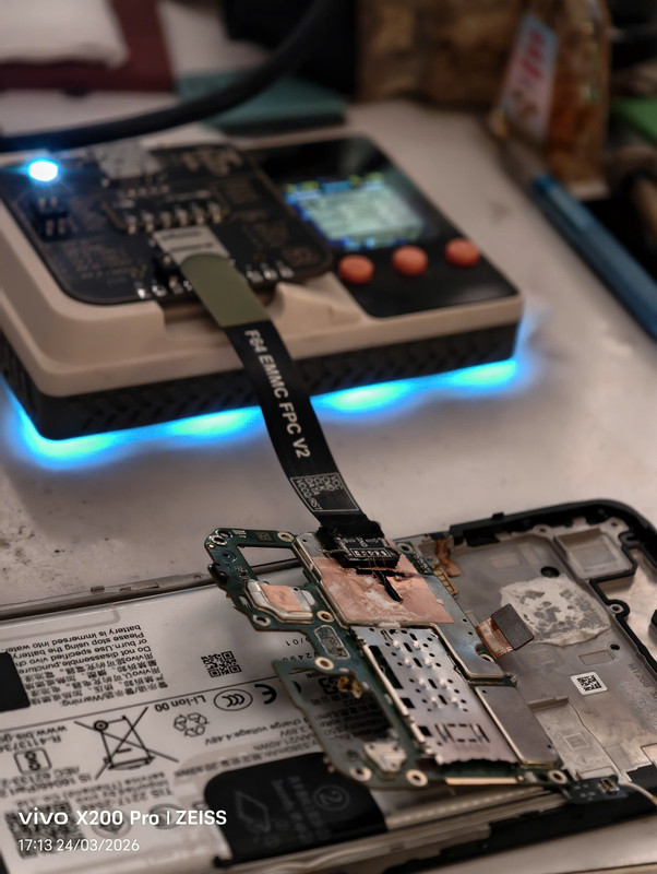 photo 2026 03 25 11 00 00