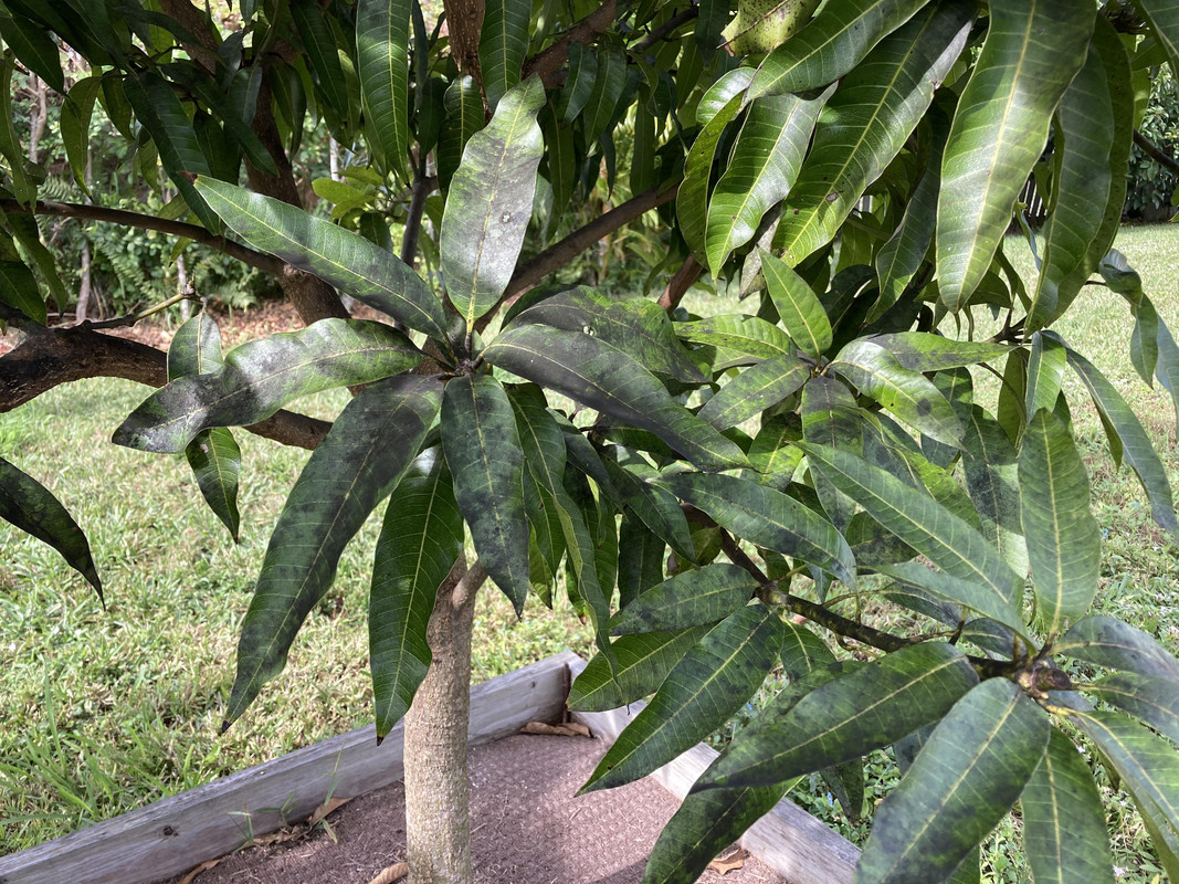 91D23AFD-6426-4093-A38D-E35425F4C518