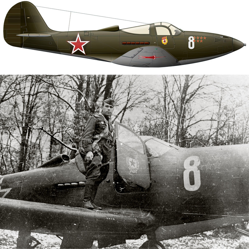Bell-P-39-Airacobra-69GvIAP-304IAD-White-8-Lt-Semyon-Alekseevich-Filatov-Ukrainian-Front-1944-0A
