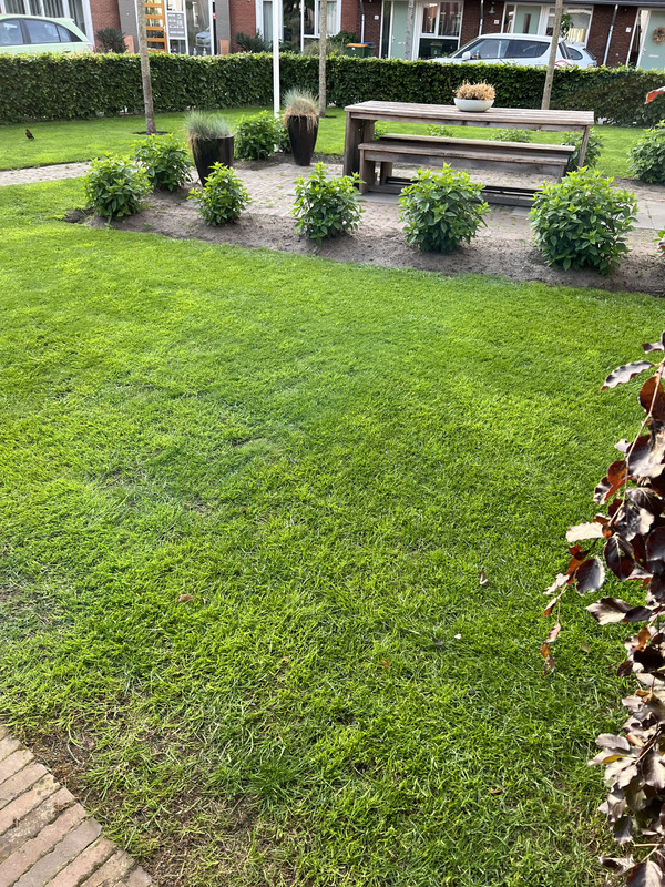 1B7F6D62-13B2-49C2-B688-A7A8669D5391