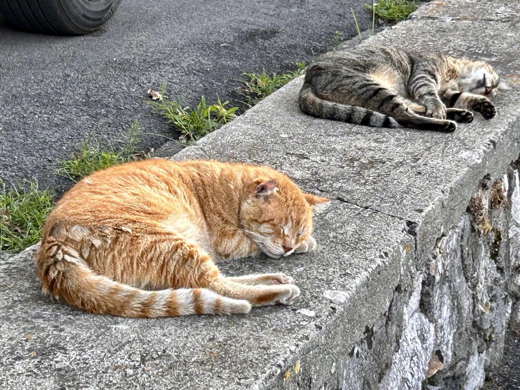 Жаркий сентябрь на побережье Тирренского моря. Жаркий сентябрь на побережье Тирренского моря.