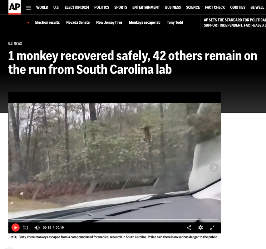 [Image: Screenshot-2024-11-09-at-21-39-27-1-monk...-lab-A.png]