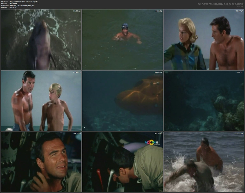 Flipper S02E03 Dolphin in Pursuit (2).mkv