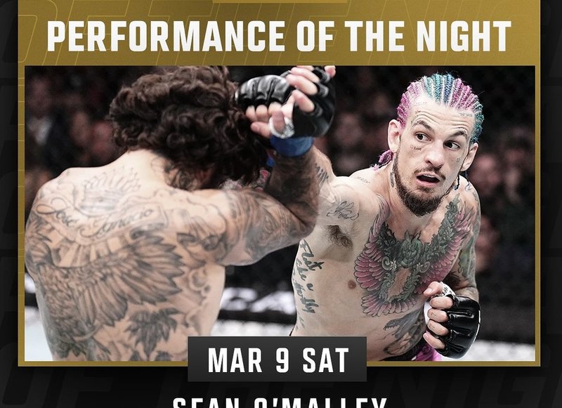 Медицински почивки след UFC 299