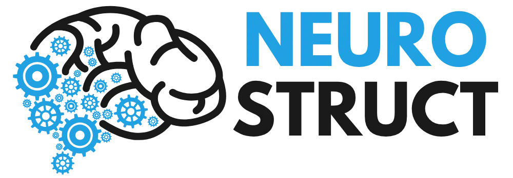 Logo NeuroStruct