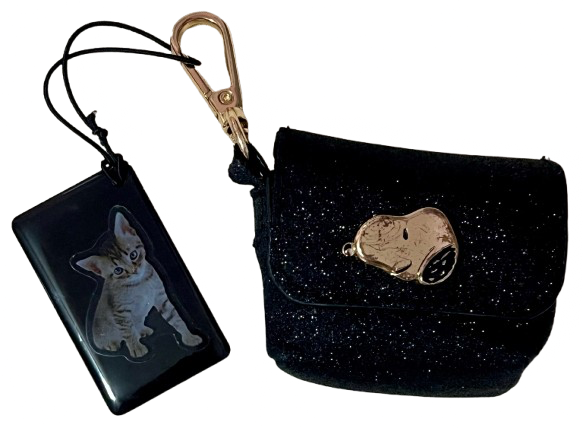 airpods pros 2 in the snoopy case i have for them