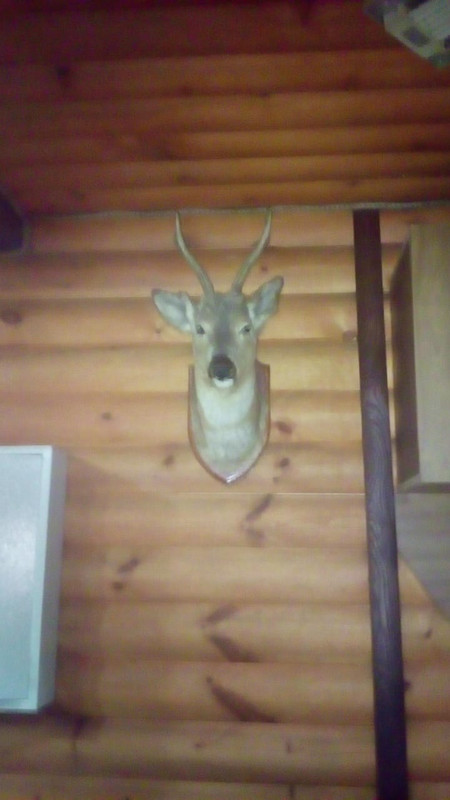 Фото от Иван-2