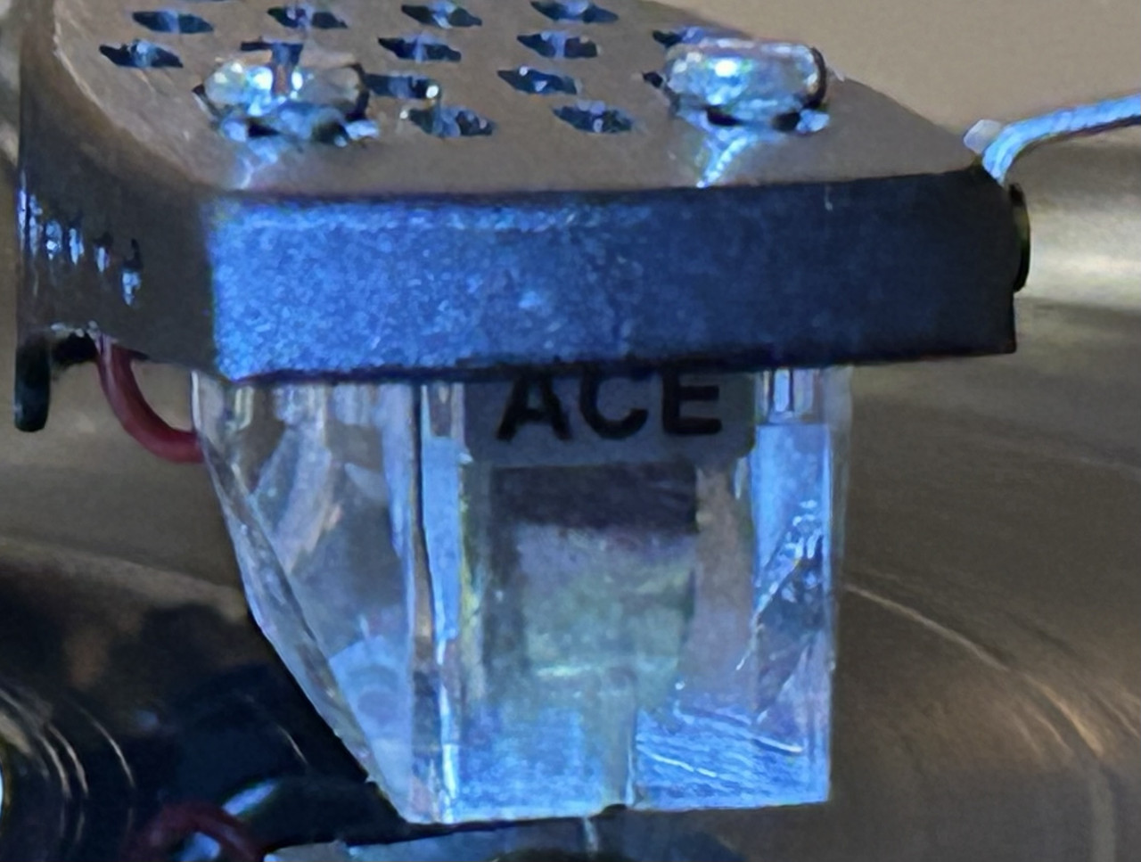 [Bild: IMG-5533.jpg]