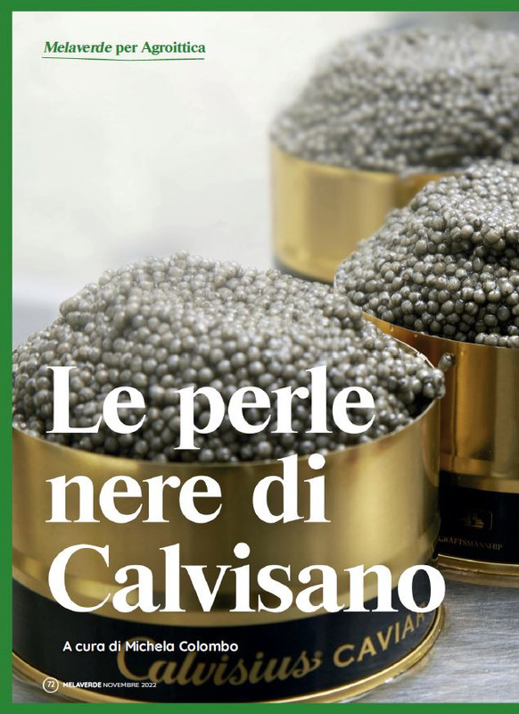 melaverde Nov 2022 (9)