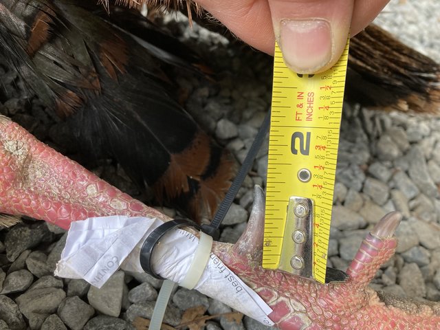 533171B6-A14B-4804-8C1F-4FA1A6C960F6