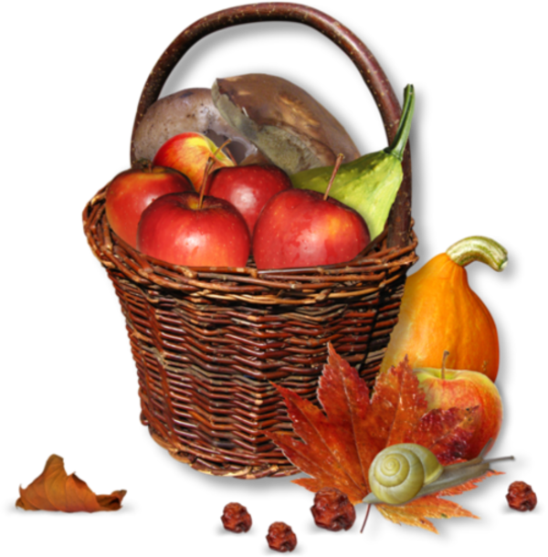 Fy7qcsnn79-DTdzvgx-FSb-OUmuivs-600x610