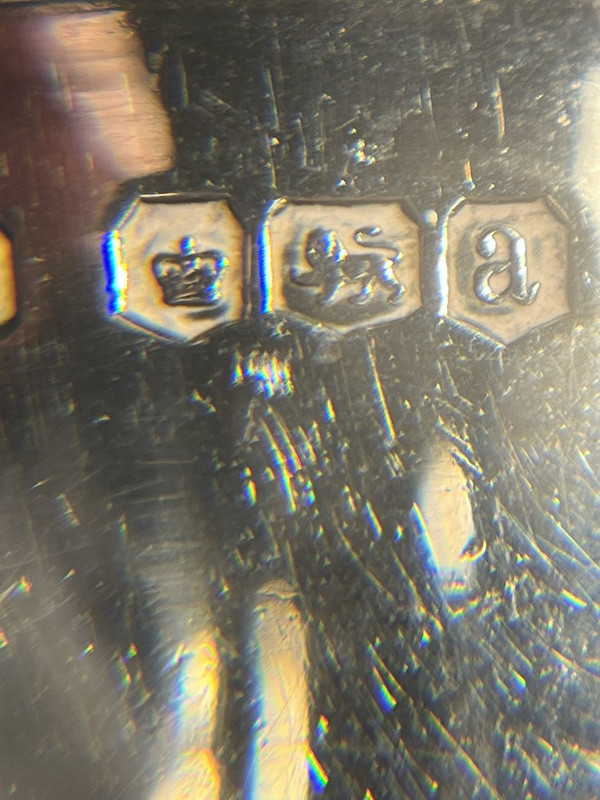 photo 5235754069895352576 y