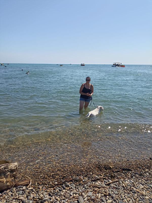 F8A3EB62-02B5-4335-9188-97FD303CEBDF