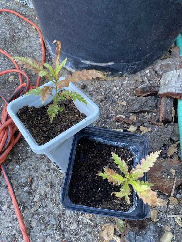 6A7DA7D0-3439-45F5-8F89-0BB02F471311