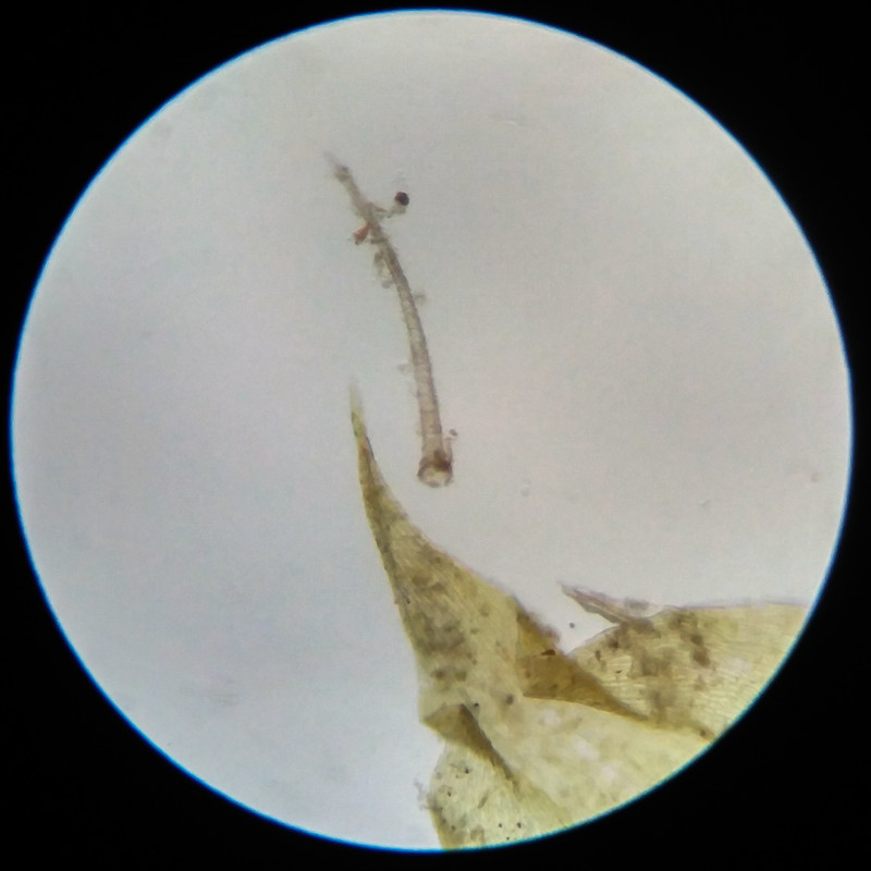 IMG 20250617 112032 HDR