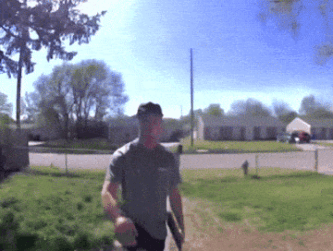 62.gif