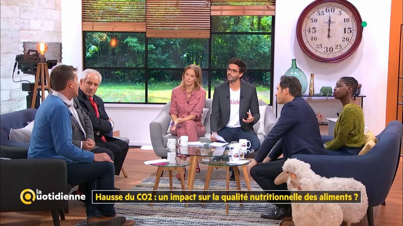 27 December - 10.45.00 - La quotidienne. Entourés d'experts-chro
