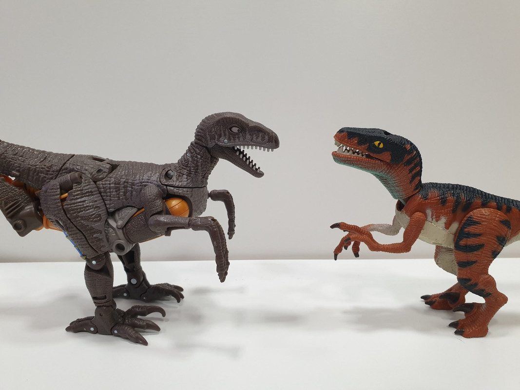 KINGDOM-VOYAGER-DINONOT-07