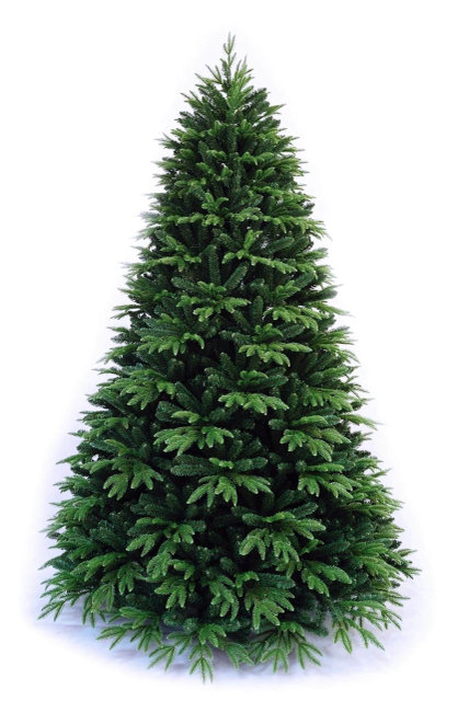 562071883_w800_h640_elkafranklinvys244m