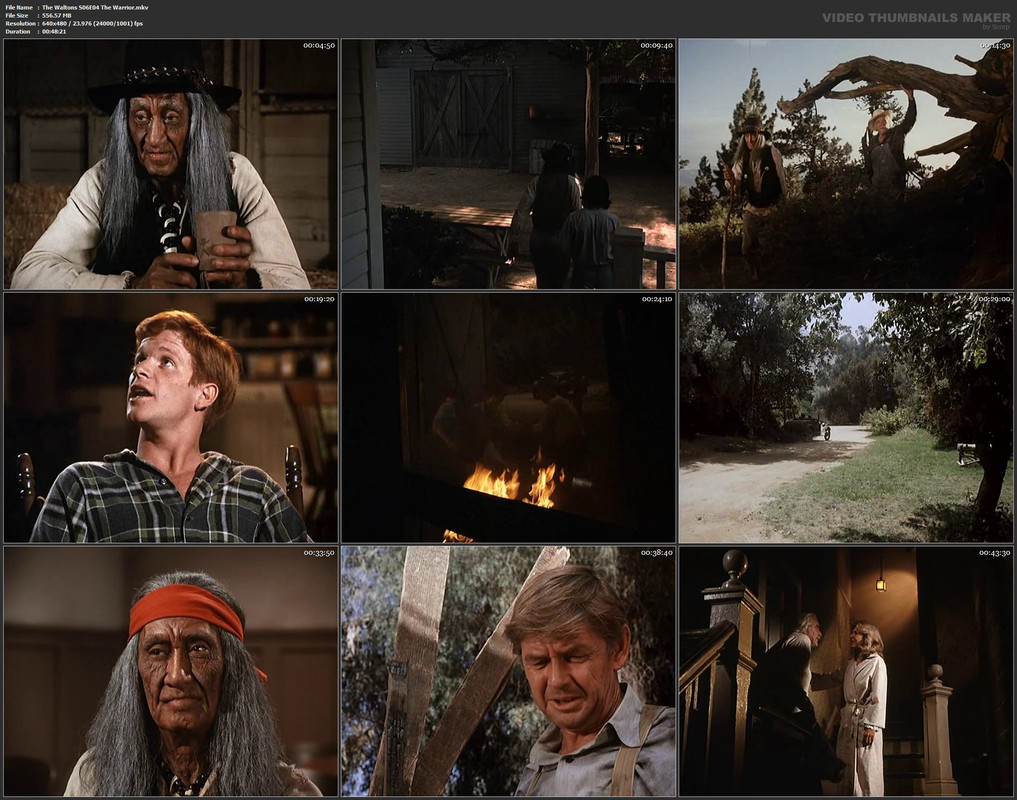 The Waltons S06E04 The Warrior.mkv