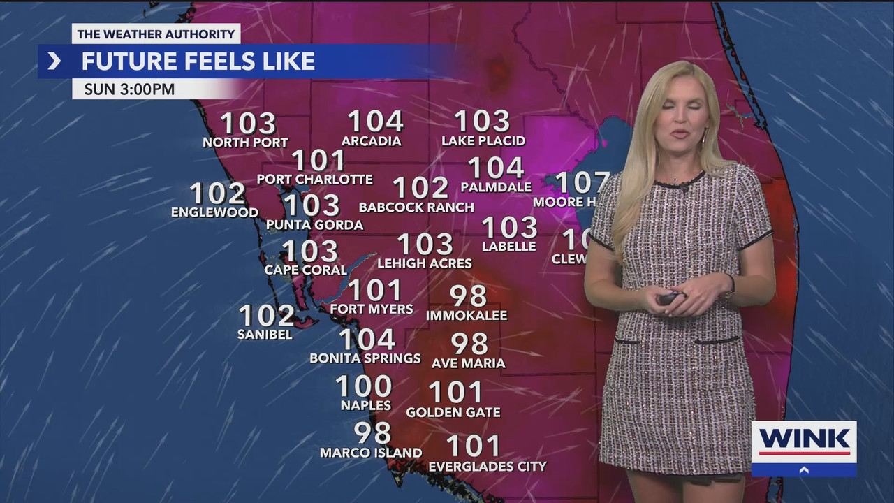 WINK News at 11_20250803_04000500.ts_snapshot_00.16.25.214