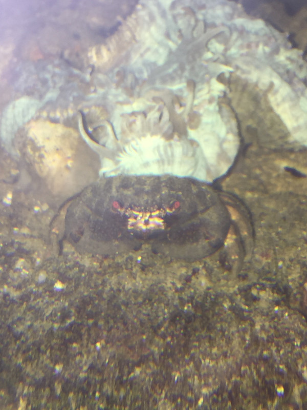 56AC119A-8FBB-480F-8070-43CABBB8B296